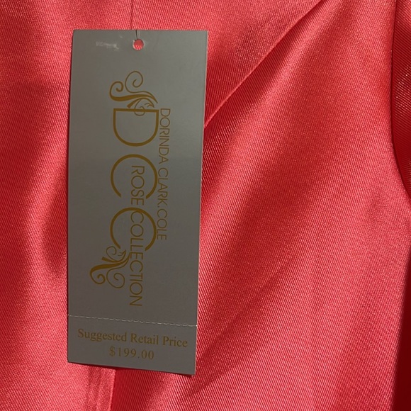 Brand New Church Dress by Dorinda Clark Cole Rose Collection - Picture 7 of 12